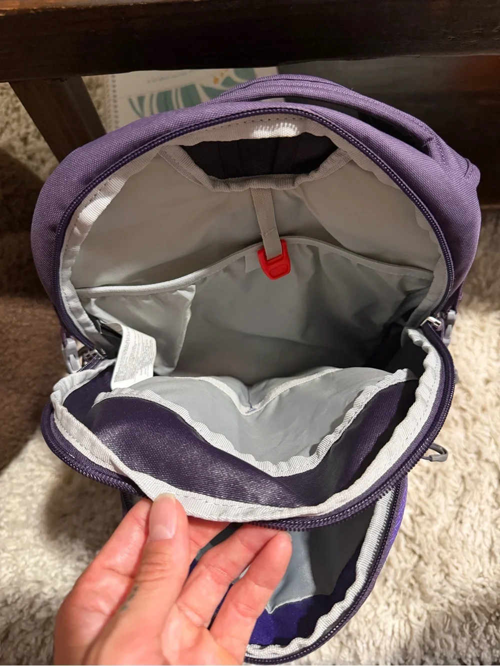 OSPREY Daylite Backpack in Bright Purple and Dark Purple